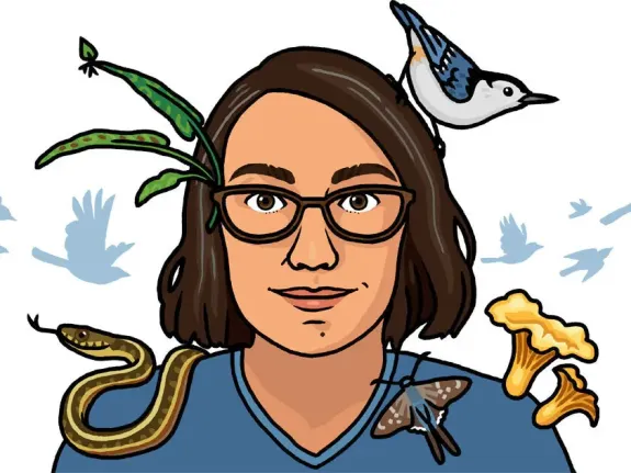 Rosemary Mosco - Illustration