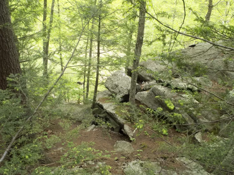 Forty Caves. Photo by Jim Webster.