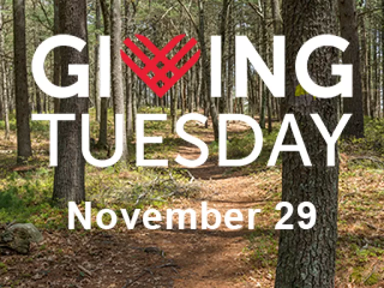 #GivingTuesday for the Trails