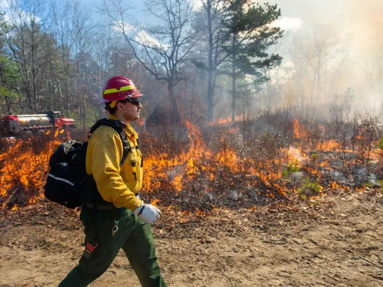 Prescribed Burn, March 27, 2025. Photo courtesy of Art Illman/Metrowest Daily News