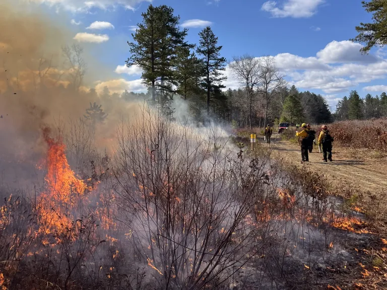 Prescribed Burn at Desert Natural Area, March 27, 2025. Photo by SVT Staff.