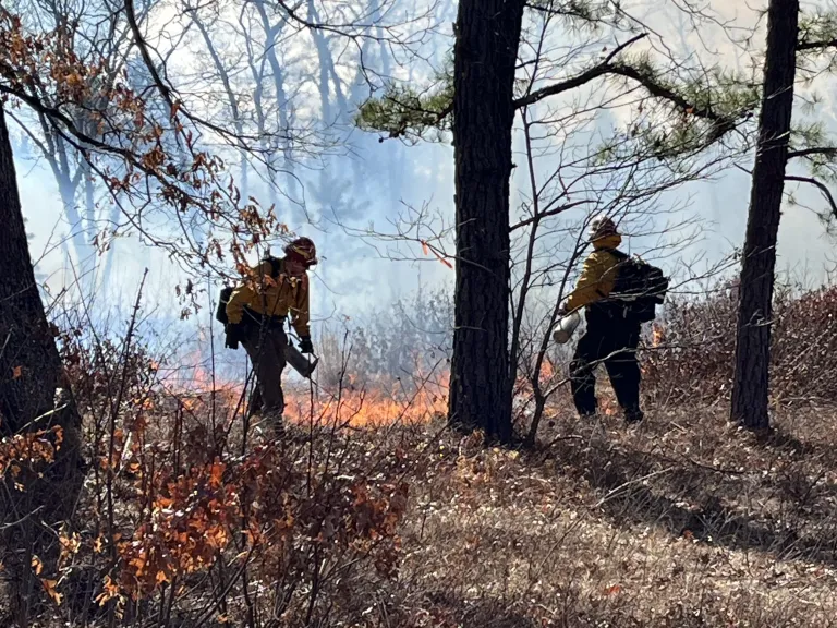 Prescribed Burn at Desert Natural Area, March 27, 2025. Photo by SVT Staff.