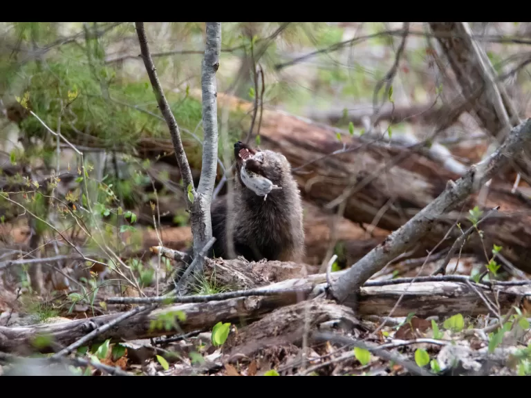 A fisher in Bolton, photographed by Jon Turner.
