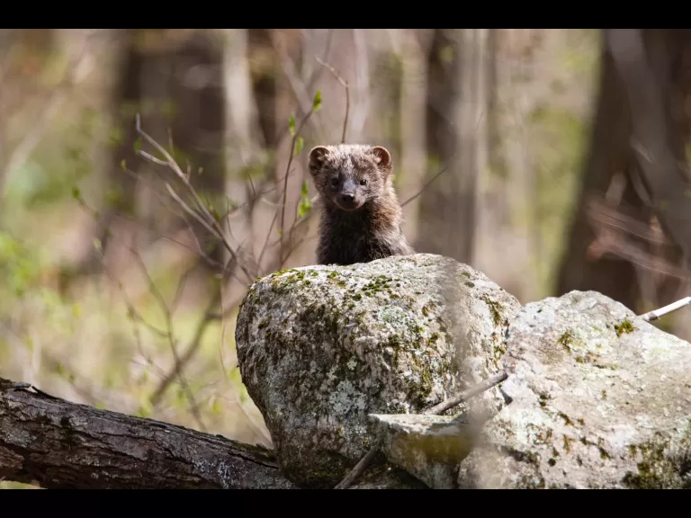 A fisher in Bolton, photographed by Jon Turner.