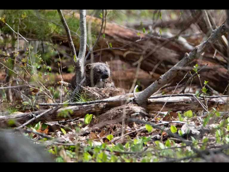 A fisher in Bolton, photographed by Jon Turner.