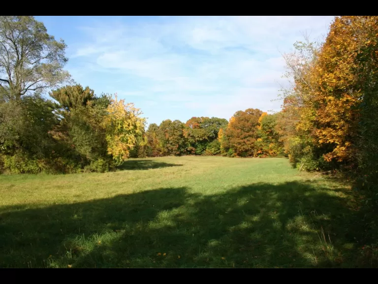 George and Lucy Yapp Conservation Land.