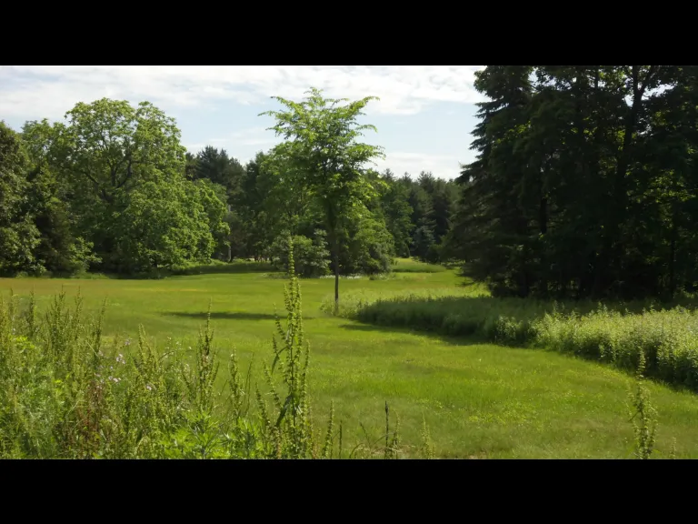 549 Main Street Acton. Photo courtesy of Acton Water District.