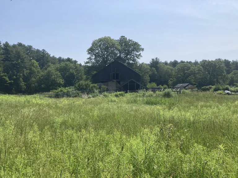 Sweet Autumn Farm, Carlisle. Photo by SVT Staff.