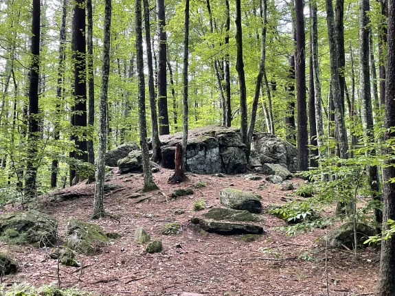 SVT holds a CR on the Town of Littleton's George and Lucy Yapp Conservation Land, which is part of a network of open space that is beneficial to wildlife.