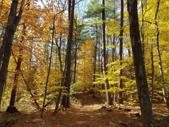 Mainstone Farm Trail. Photo by SVT.