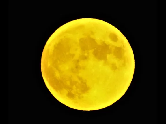 The Moon over Bare Hill Pond in Harvard, photographed by Robin Right.