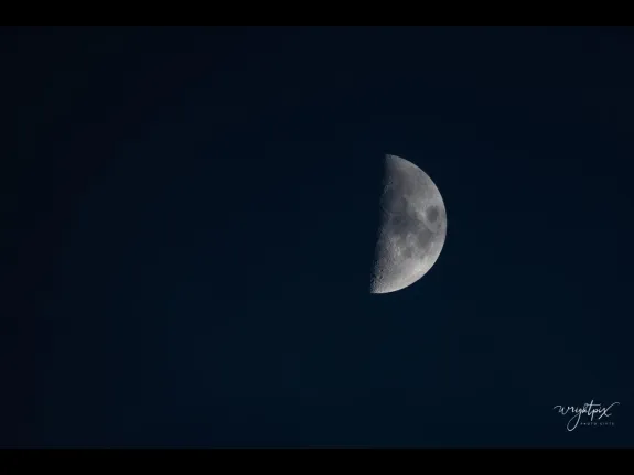 The Moon over Westborough, photographed by Nancy Wright.