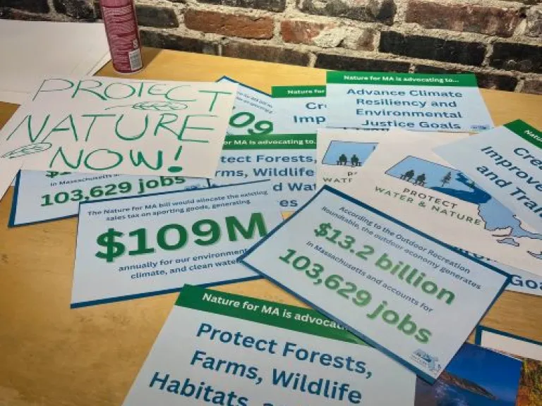 These signs were used by members of the Nature for Massachusetts Coalition during a rally at the Massachusetts State House in December 2025.