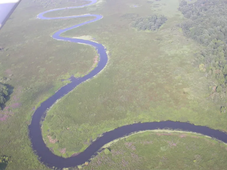 Overview image of Great Meadows-Sedge Meadow