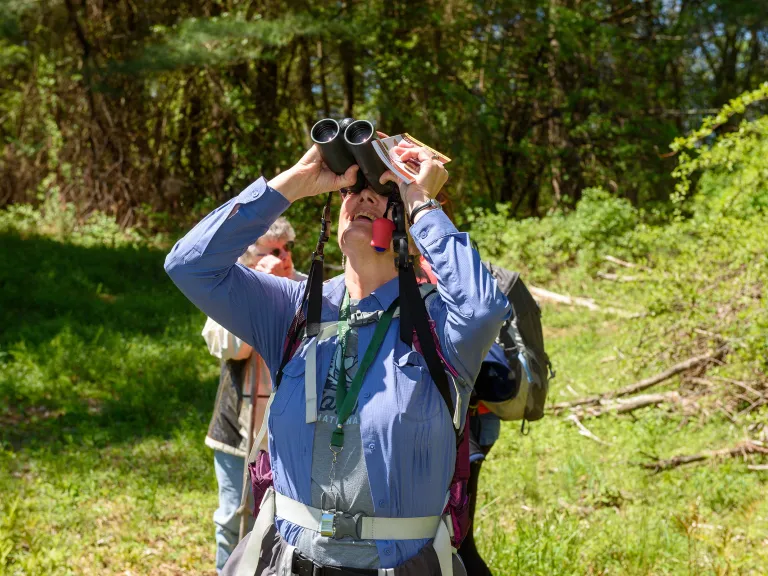 Always Be Birding! Photo by Dany Pelletier