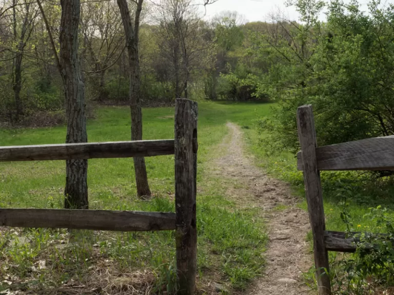SVT's Black Cat Farm. Photo by Wayne Hall.