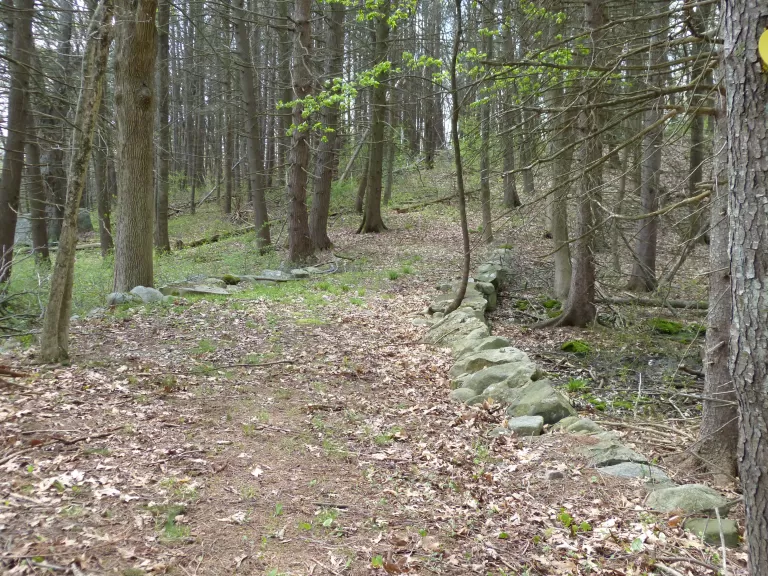 Prospect Hill. Photo by Terri Ackerman