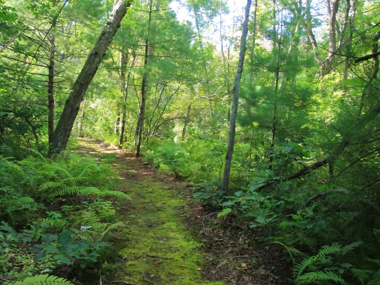 Photo by Sherry Fendell