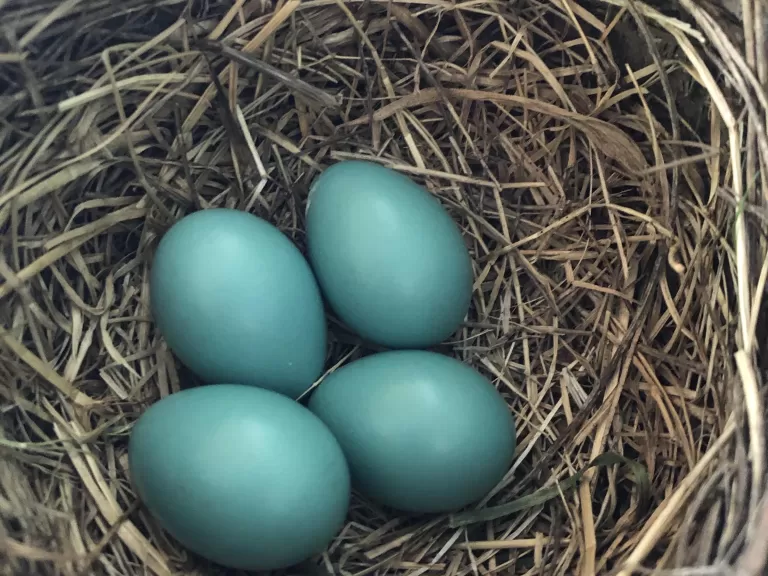 Photo by Pam Keeney.