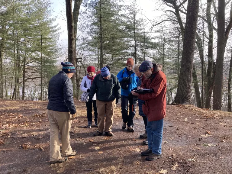 Members of the CRAC study a clearing encroachment at Elliott Concord River Preserve