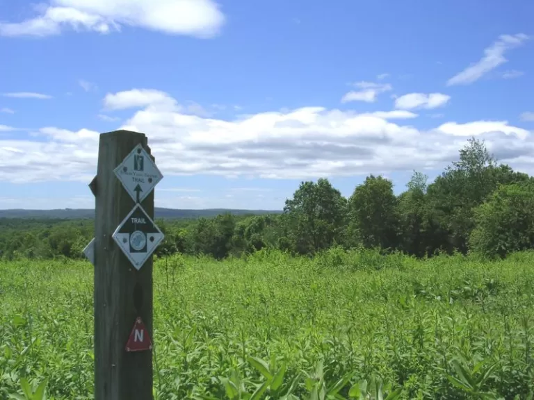 A view of the meadow on top of Cedar Hill.  Photo by Joyce Dwyer.