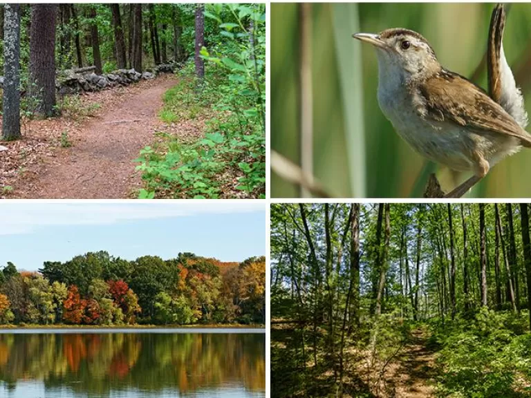Photo credits, clockwise from top left: Dany Pelletier, Joan Chasan, Raj Das, and Joan Chasan