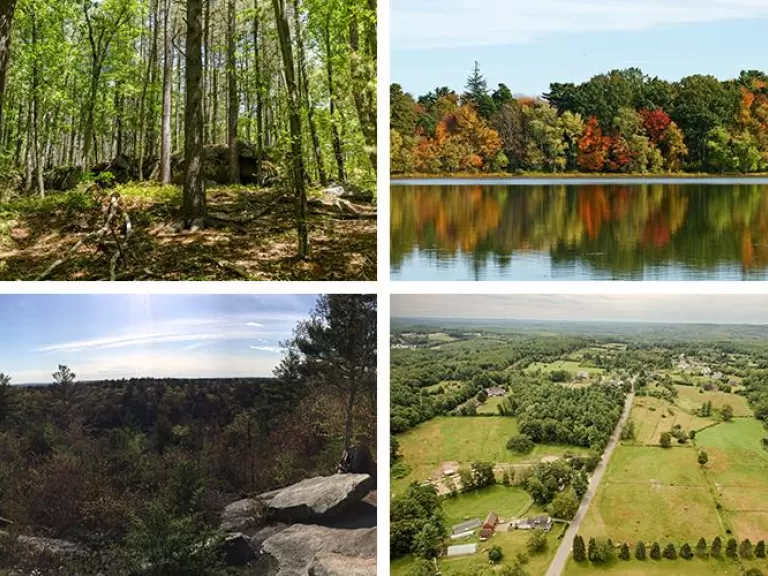 Clockwise from top left: Photos by Raj Das, Joan Chasan, Brent Mathison, SVT Staff