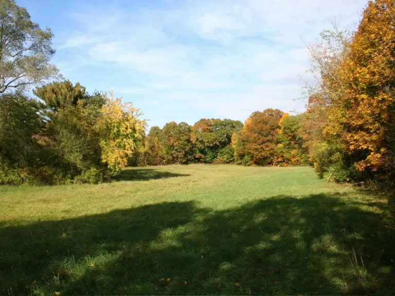 George and Lucy Yapp Conservation Land.
