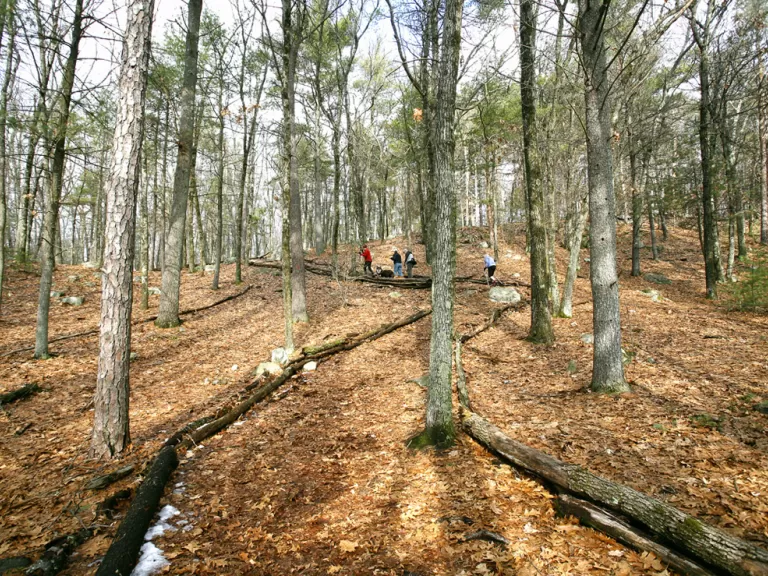 Nobscot Scout Reservation. Photo by David Blohm.
