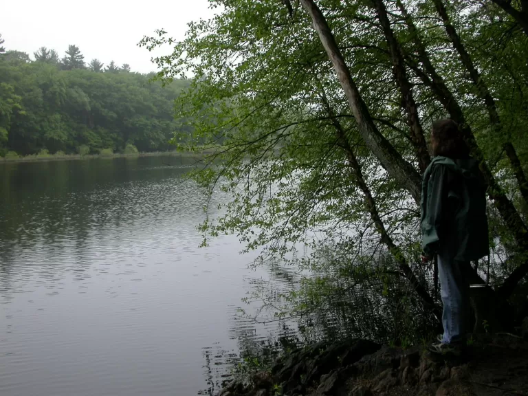 The Concord River from Ralph Hill Conservation Area.