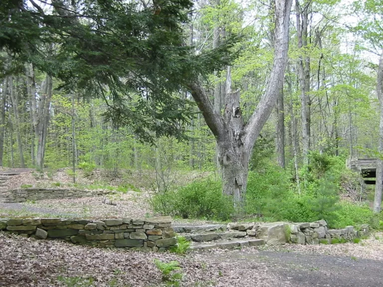 Walkup and Robinson Memorial Conservation Area. Photo by Jill Kern