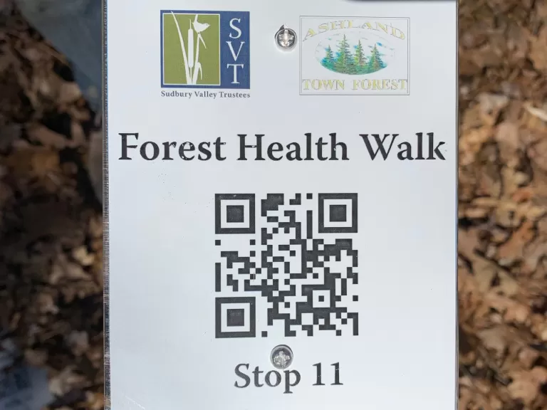 A stop along the Forest Health Walk. Photo by SVT.