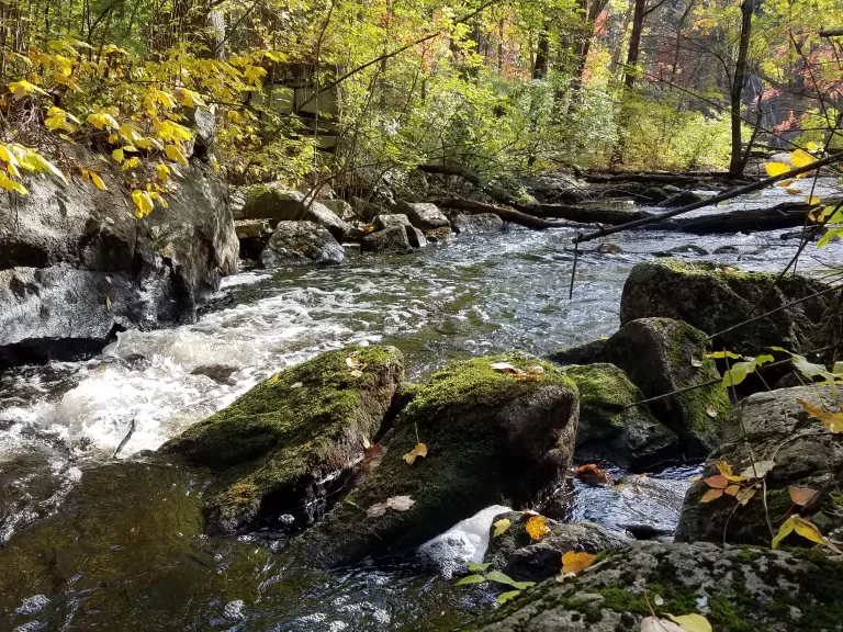 Sudbury River at Highland Park. Photo by SVT.