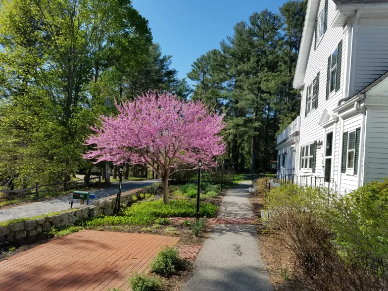 Wolbach Farm in Spring