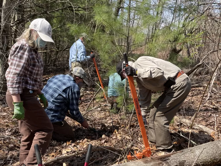 Weed Warrior Training-20210420-Gowings-SVT Staff-KOBrien