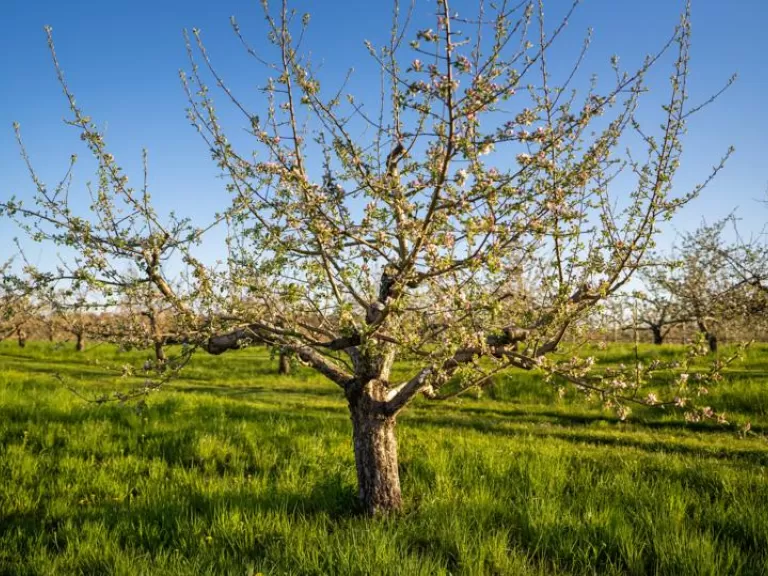 Photo by Louis Calisi