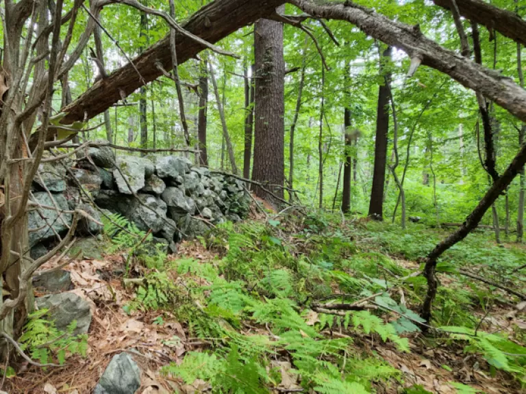 Oechsle Land - August 2022. Photo by SVT Staff.