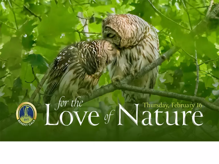 2023 Benefit Gala: For the Love of Nature