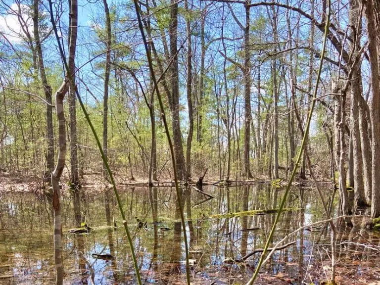 Mechanic Street Property. Photo by Lauren Scheuer.