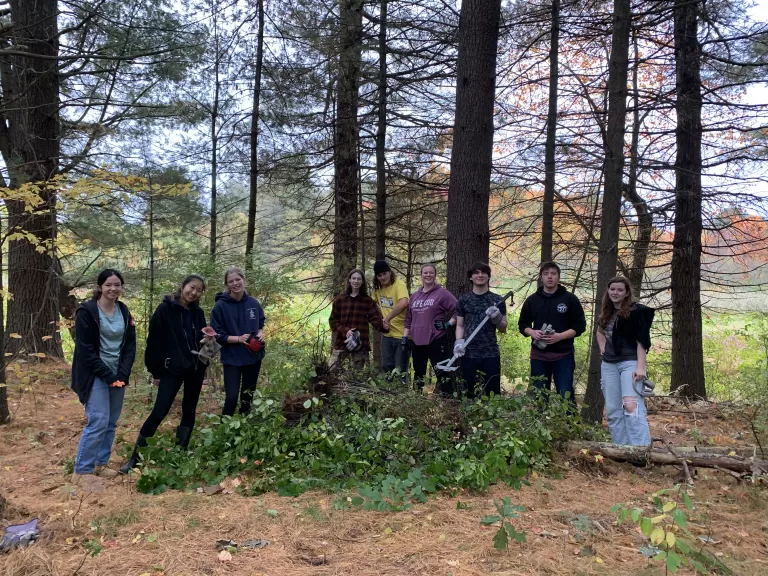 Minuteman Tech Students Pulling Invasives at Memorial Forest.