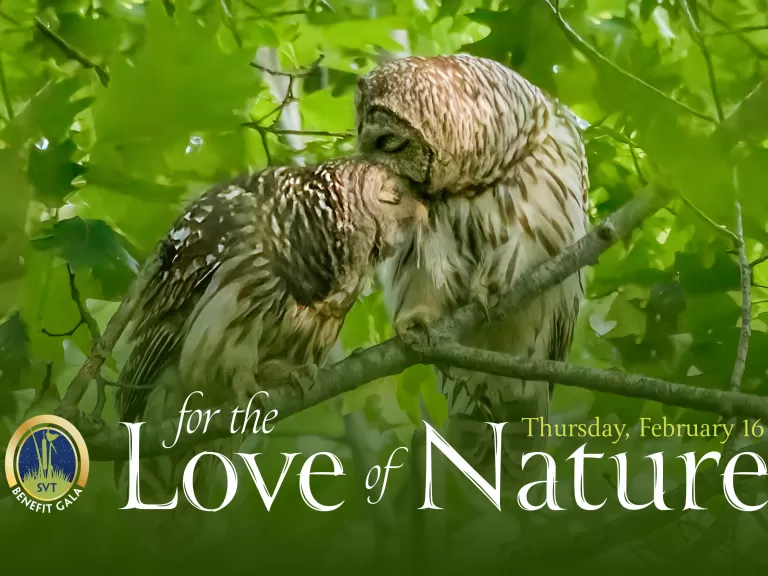 For the Love of Nature, 2023 Benefit Gala