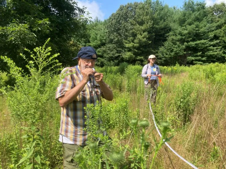 Vegetation Monitoring at Cedar Hill in Northborough