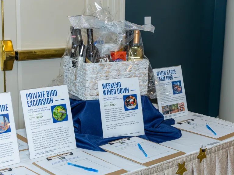 2025 Benefit Auction - Silent Auction Table. Photo by Lisa West Photography.
