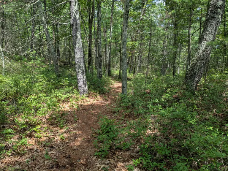 District 9 Schoolhouse Conservation Area Trail. Photo by SVT.