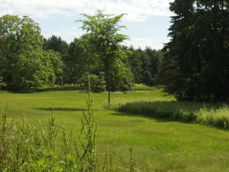 549 Main Street, Acton. Photo by Acton Water District. 