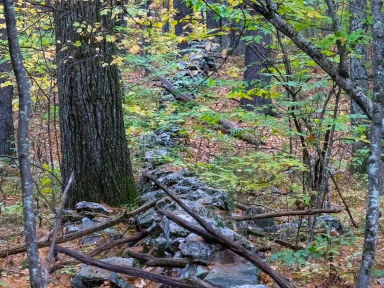 Eastern Greenway-North. Photo by Louis Calisi.
