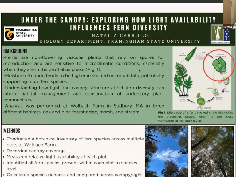 Framingham State Students Presented their Plant Inventory Findings in a Webinar.