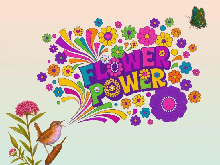 Flower Power Graphic