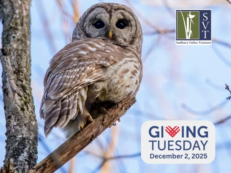 Giving Tuesday for the Trails 2025