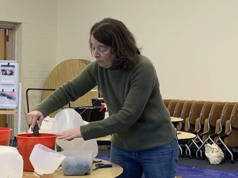 Shelley Trucksis, Winter Sow. Photo by Laura Mills, Concord Free Public Library.